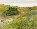 Landschaft Shinnecock Hills Impressionismus William Merritt Chase